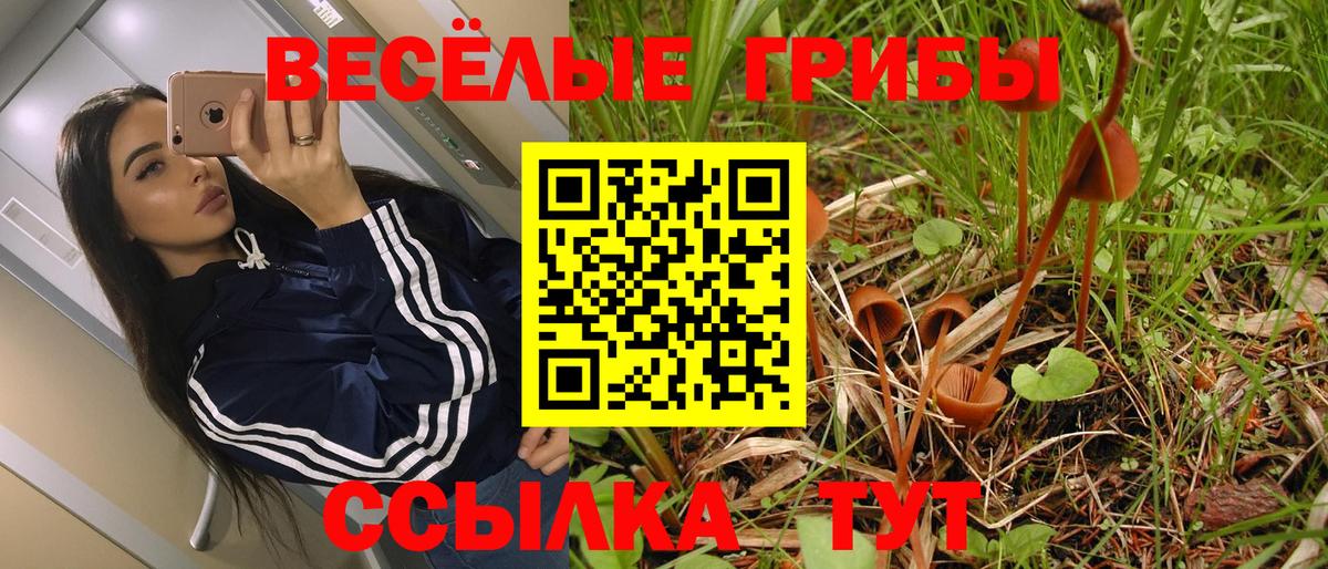 Галлюциногенные грибы мицелий Миасс